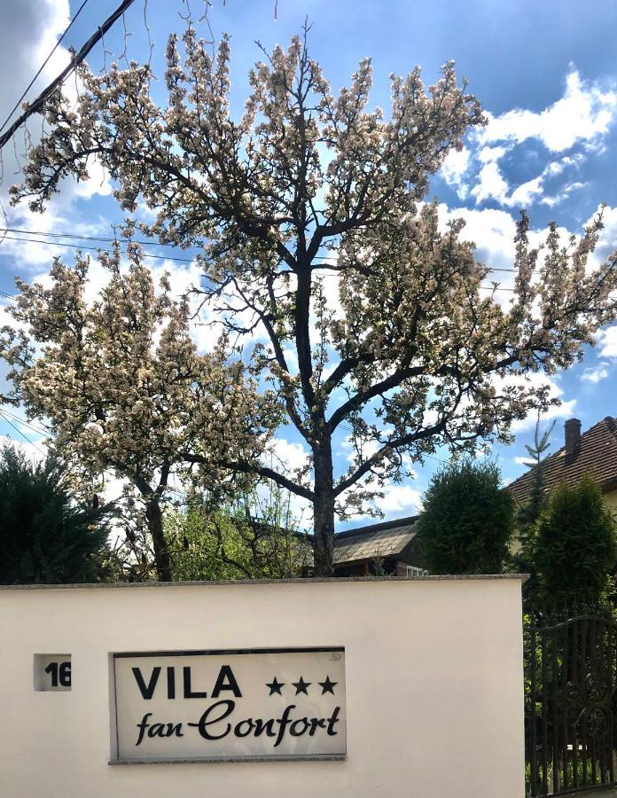Vila Fan Confort Viseu de Sus Bagian luar foto