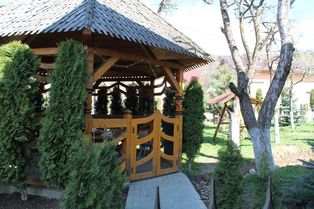 Vila Fan Confort Viseu de Sus Bagian luar foto