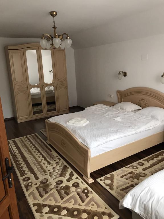 Vila Fan Confort Viseu de Sus Bagian luar foto