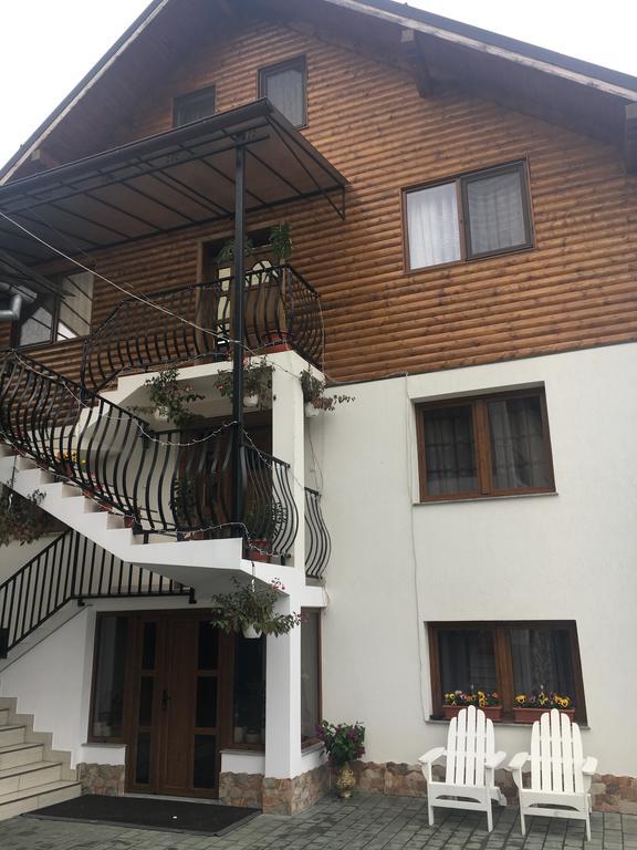 Vila Fan Confort Viseu de Sus Bagian luar foto