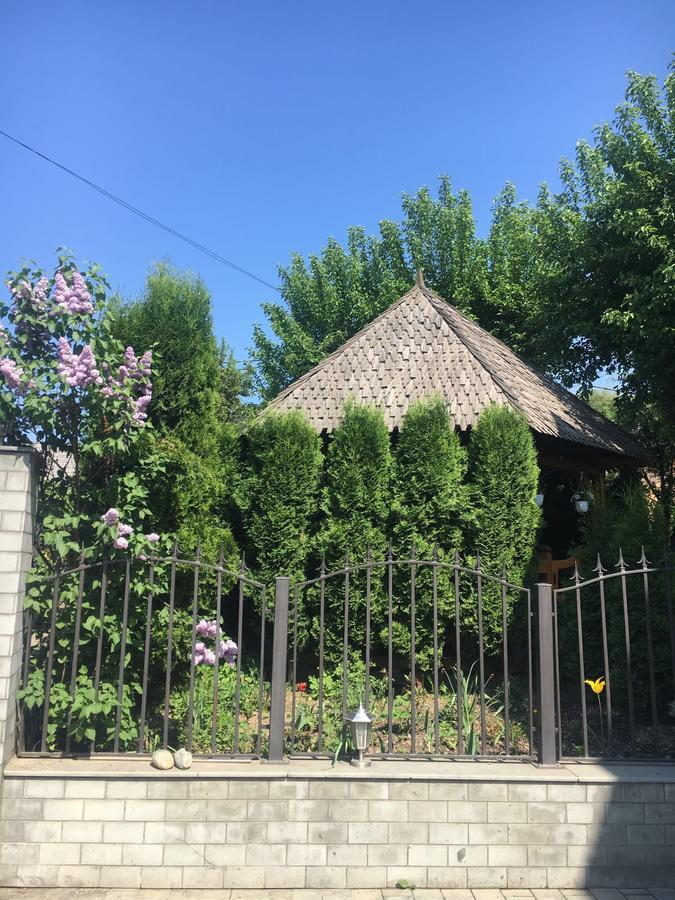 Vila Fan Confort Viseu de Sus Bagian luar foto
