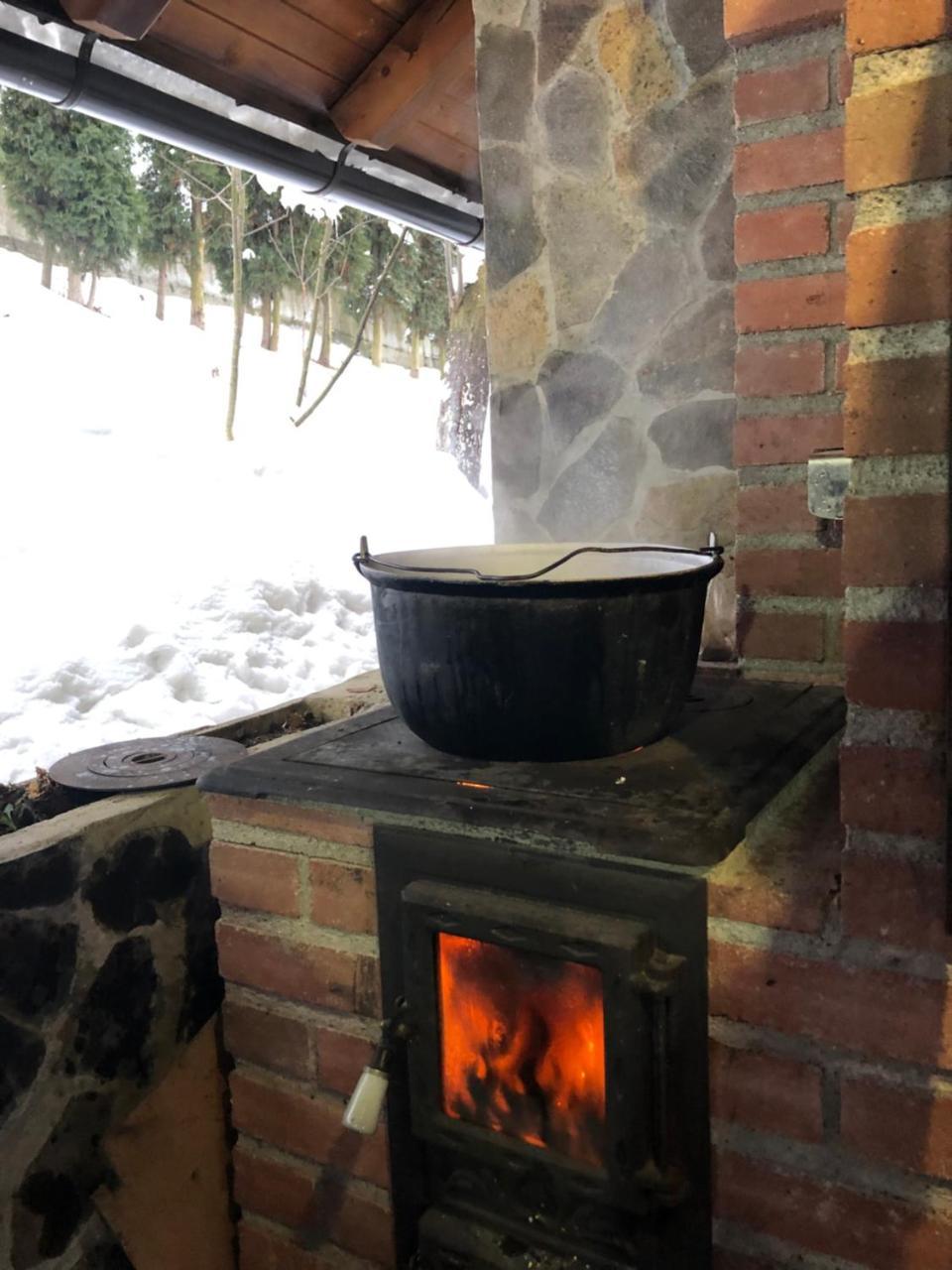 Vila Fan Confort Viseu de Sus Bagian luar foto