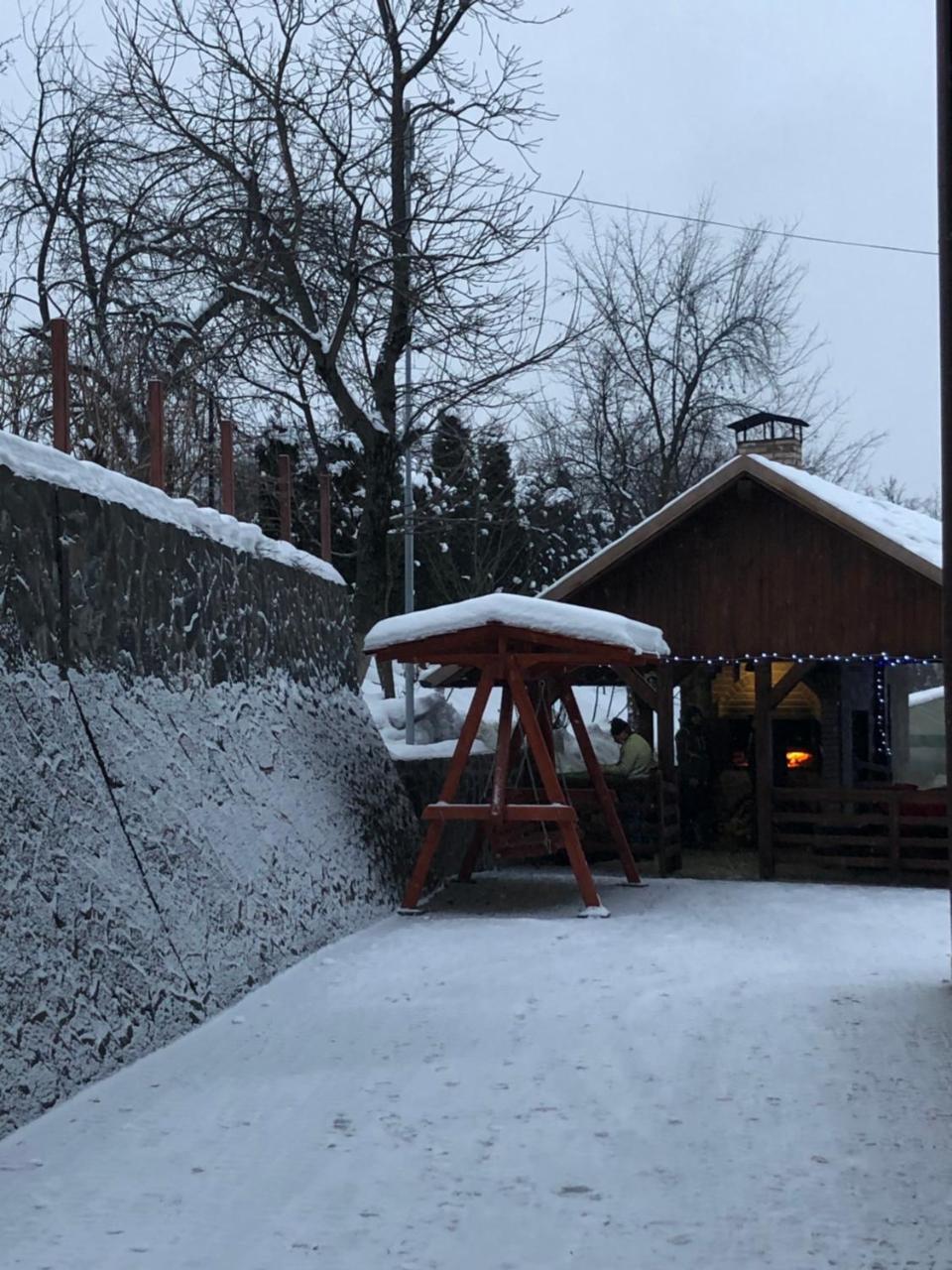Vila Fan Confort Viseu de Sus Bagian luar foto