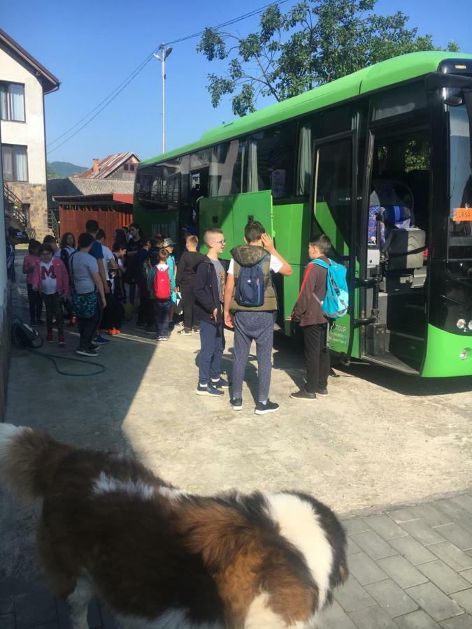 Vila Fan Confort Viseu de Sus Bagian luar foto