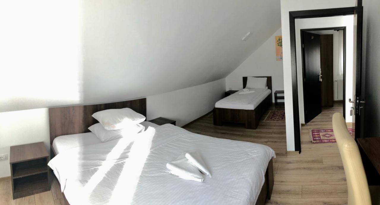 Vila Fan Confort Viseu de Sus Bagian luar foto